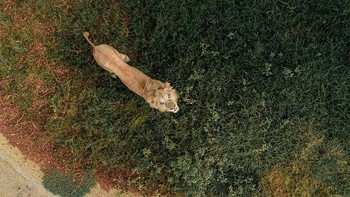 Karya finalis  Bachirm. Foto: Ultralink