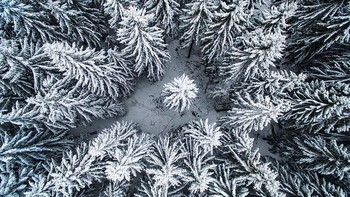 Karya finalis  Photographersworld. Foto: Ultralink