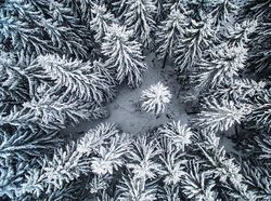 Jawara Kontes Foto Drone yang Memukau Mata