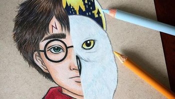  Harry Potter & Hedwig. (Foto: Instagram/dada16808)