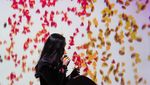 Foto Museum Selfie yang Instagramable di Malaysia