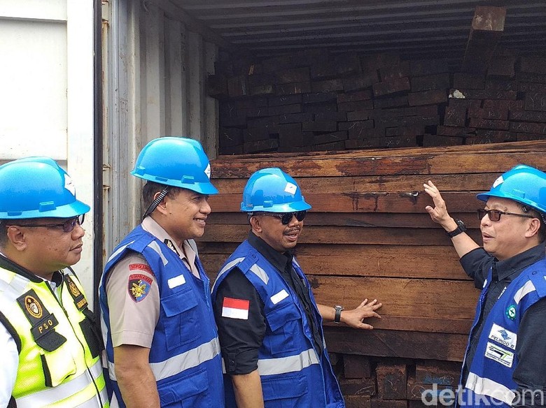 384 Kontainer Kayu Merbau Asal Papua Senilai Rp 100 Miliar Disita 384 Kontainer Kayu Merbau Asal Papua Senilai Rp 100 Miliar Disita