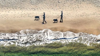 Juara ketiga diraih Qliebin. Foto: Ultralink