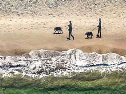 Jawara Kontes Foto Drone yang Memukau Mata