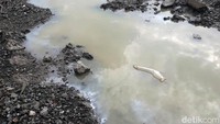 Dugaan terkait lumpur panas itu bermula dari dua orang bocah yang mengalami luka bakar usai bermain di lahan kosong tersebut.