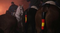 Selain itu, ekor kuda pun dilindungi dengan warna seperti bendera Spanyol.
