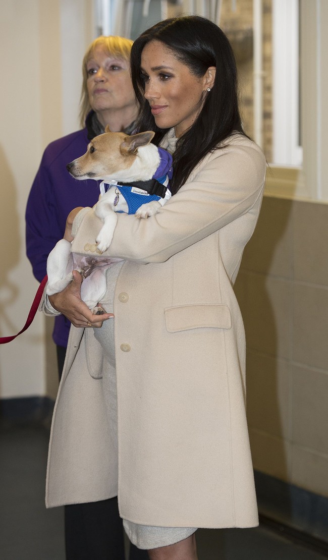 Meghan Markle memang terkenal sebagai duchess baru yang selalu tampil dengan busana karya desainer. Namun beberapa kali Meghan mencoba menyelipkan busana dari retailer high-street untuk memaksimalkan gayanya.  Foto: Dok. Getty Images