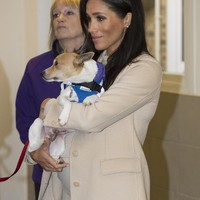 Meghan Markle memang terkenal sebagai duchess baru yang selalu tampil dengan busana karya desainer. Namun beberapa kali Meghan mencoba menyelipkan busana dari retailer high-street untuk memaksimalkan gayanya.  Foto: Dok. Getty Images