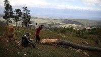 Boucan Ferdinand sebuah desa yang berada di Hispaniola, Haiti. (Andres Martinez Casares/Reuters)