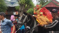 Tidak hanya terkenal dengan kekayaan wisata alamnya, Polewali Mandar juga dikenal dengan keragaman wisata tradisi. Salah satunya Kuda Menari. (Abdy Febriady/detikTravel)