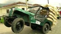 Awalnya mobil Jeep digunakan pemerintah Armenia sebagai kendaraan militer namun lambat laun mobil ini menjadi alat transportasi untuk mengangkut kopi. Karena dianggap kokoh, mobil ini juga jadi kendaraan angkut hasil bumi lainnya. Foto: Istimewa