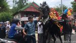 Foto: Penunggang Cantik dan Tradisi Kuda Menari di Sulbar
