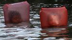 Gaya Anak-anak Berenang di Air Kotor Kali Sipon