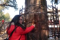 (Bonauli/detikTravel)