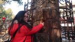 Foto: Pohon dan Batu Keramat yang Bisa Memberkati