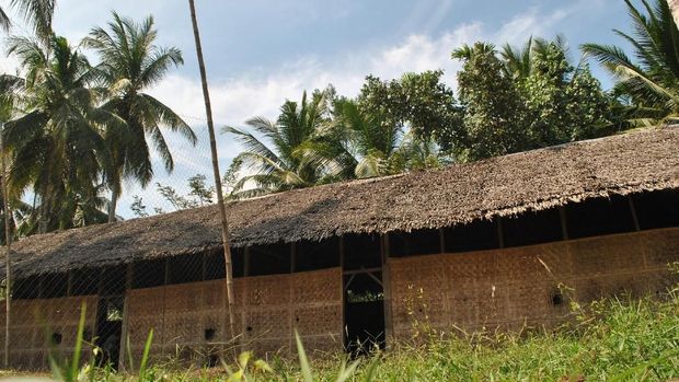  Bangunan ini adalah SMP Ta'alimil Mubtadi yang terletak di Desa Pucok Alue, Kecamatan Baktiya, Aceh Utara, Aceh.