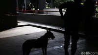 Anjing pelacak itu di tempatkan di sejumlah titik di sekitar kawasan Hotel Bidakara, Jakarta.