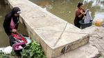 Gaya Anak-anak Berenang di Air Kotor Kali Sipon