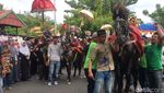 Foto: Penunggang Cantik dan Tradisi Kuda Menari di Sulbar