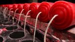Produksi Lilin Dikebut Jelang Imlek