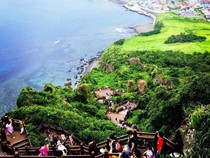Waduh! 38 Turis Vietnam Hilang di Pulau Jeju, Sebelumnya Turis Thailand