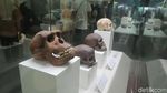Foto: Kapak Wiro Sableng di Muzium Negara Malaysia