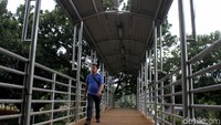 Atap JPO yang bolong membuat warga enggan melintasi jembatan itu saat musim hujan.