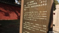 Dua pohon ini ditanam oleh Kaisar Wu Di dari Dinasti Han. Kalau dikira-kira, usia dari pohon ini sudah sekitar 3000 tahun. (Bonauli/detikTravel)