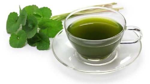 gotu kola, asiatic pennywort, centella asiatica, ayurveda herbal drink