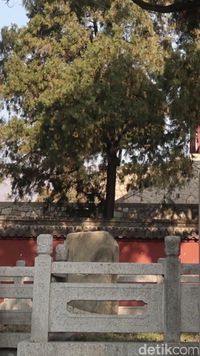(Bonauli/detikTravel)