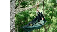Pohon-pohon kuno Afrika Selatan adalah salah tempat yang untuk tidur siang jika menggunakan hammock (CNN World +)