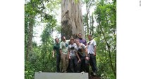 Digagas oleh David Wiles, proyek ini bernama Explore Trees. Tujuannya untuk membantu menyoroti atau memilah bagi kebutuhan masyarakat setempat, yakni untuk melestarikan pohon-pohon spektakuler di Afrika Selatan itu (CNN World +)