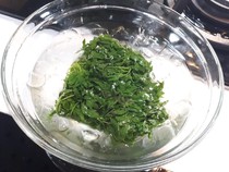 4 Manfaat Daun Antanan untuk Kesehatan Otak dan Cara Konsumsinya