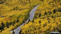 Tibet telah mencanangkan untuk membangun dan meningkatkan 4.500 kilometer jalan pedesaan untuk menghubungkan semua kota dan desa pada akhir 2019. Xinhuanet/Istimewa.