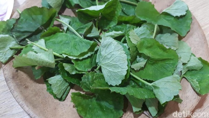 9 Manfaat Daun Pegagan untuk Otak, Kesehatan, dan Kecantikan Kulit