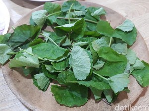 9 Manfaat Daun Pegagan untuk Otak, Kesehatan, dan Kecantikan Kulit