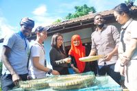 22 Mahasiswa Asing Belajar Olah Kopi Khas Muria di Kebun Kopi 