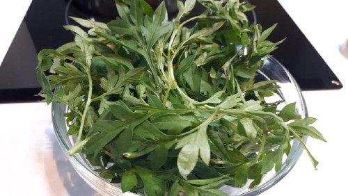 olahan kenikir dan pegagan Santhi Serad