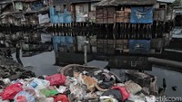Selain itu Badan Pusat Statistik (BPS) mengumumkan jumlah penduduk miskin per September 2018 mencapai 25,26 juta jiwa atau sebesar 9,66 persen dari total penduduk Indonesia.