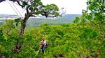Foto: Mereka Pemanjat Pohon-pohon Tertinggi Dunia
