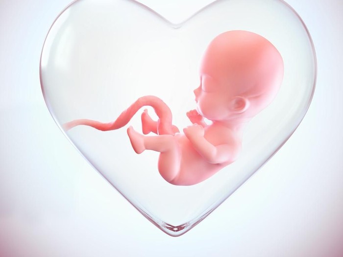 Ilustrasi Janin 3D Ultrasound image
