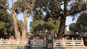 Foto: Pohon Berusia Ribuan Tahun & Batu Keberuntungan di China