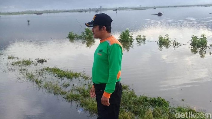 Sawah yang terendam banjir di Kecamatan Kalibening, Banjarnegara, Jumat (18/1/2019).