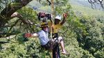 Foto: Mereka Pemanjat Pohon-pohon Tertinggi Dunia