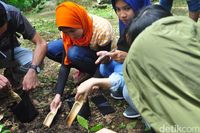 22 Mahasiswa Asing Belajar Olah Kopi Khas Muria di Kebun Kopi 
