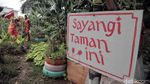 Terpikat Cantiknya Bunga Matahari di Timur Jakarta