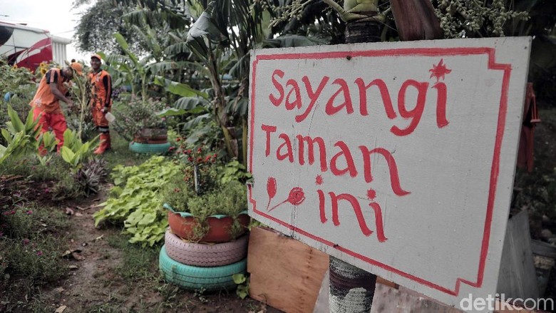 Terpikat Cantiknya Bunga Matahari Di Timur Jakarta