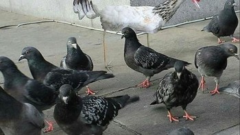 Dalam akunnya, ia membagikan beragam postingan yang menunjukkan gambar bocah yang masih acak-acakan dibuat versi dunia nyata. Foto: Instagram @thingsihavedrawn