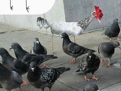 Seram Tapi Lucu, Imajinasi Coretan Bocah Jika Berwujud Nyata