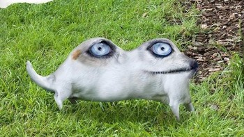 Seperti ini contohnya, potret hewan yang memiliki wajah aneh. Foto: Instagram @thingsihavedrawn